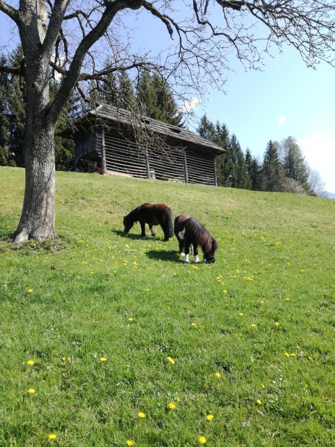 Haus Oswald Am See Hermagor-Pressegger See Eksteriør billede