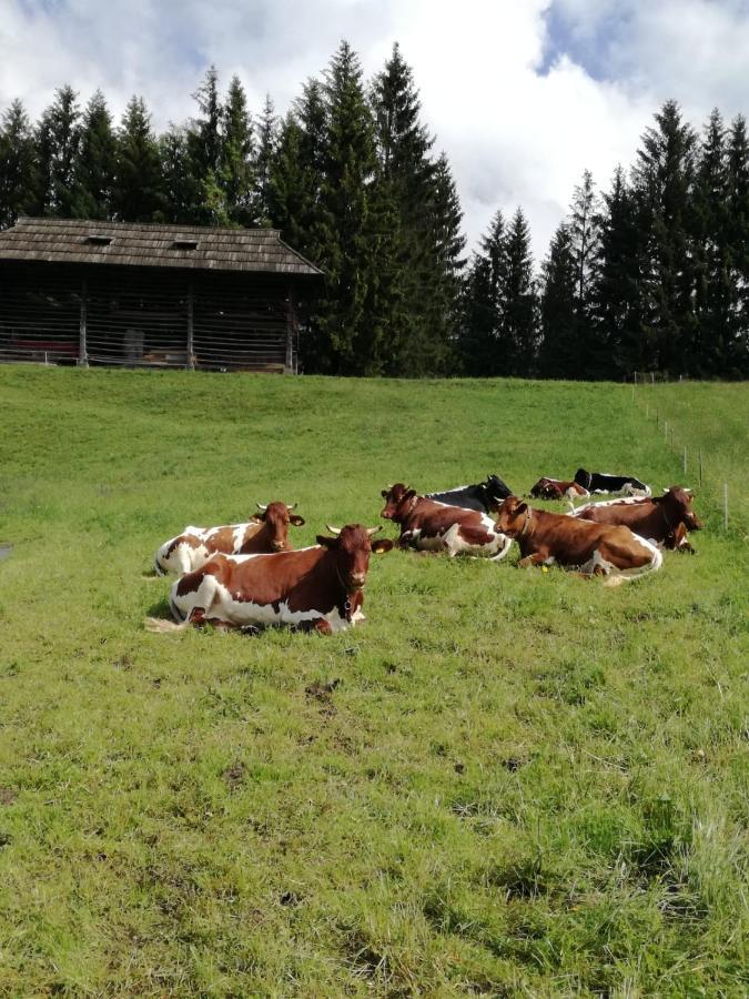 Haus Oswald Am See Hermagor-Pressegger See Eksteriør billede